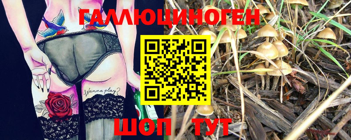 Псилоцибиновые грибы MAGIC MUSHROOMS Мичуринск