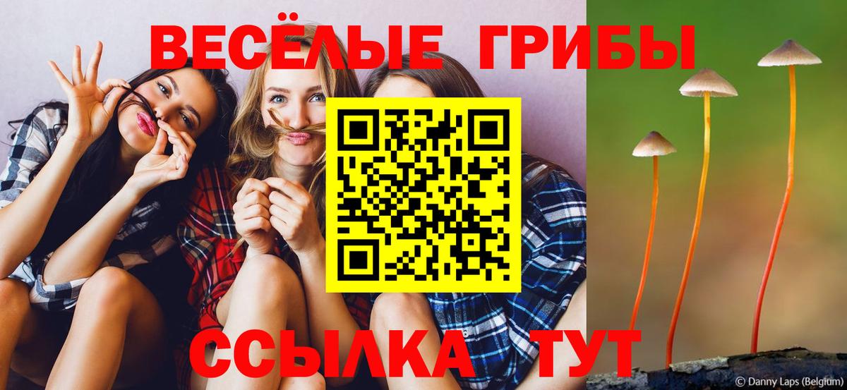 Мичуринск  где найти   Вход с VPN  Галлюциногенные грибы MAGIC MUSHROOMS 
